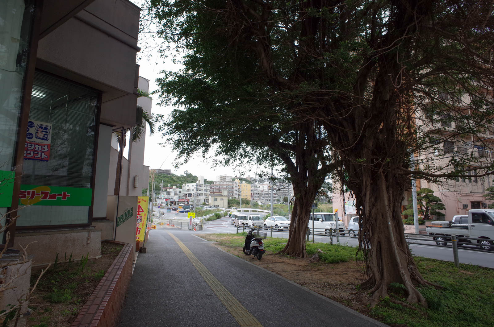f:id:SQB:20190126214348j:plain f:id:SQB:20190126214348j:plain