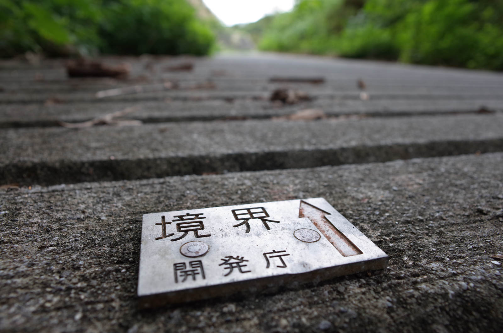 f:id:SQB:20190127212025j:plain f:id:SQB:20190127212025j:plain