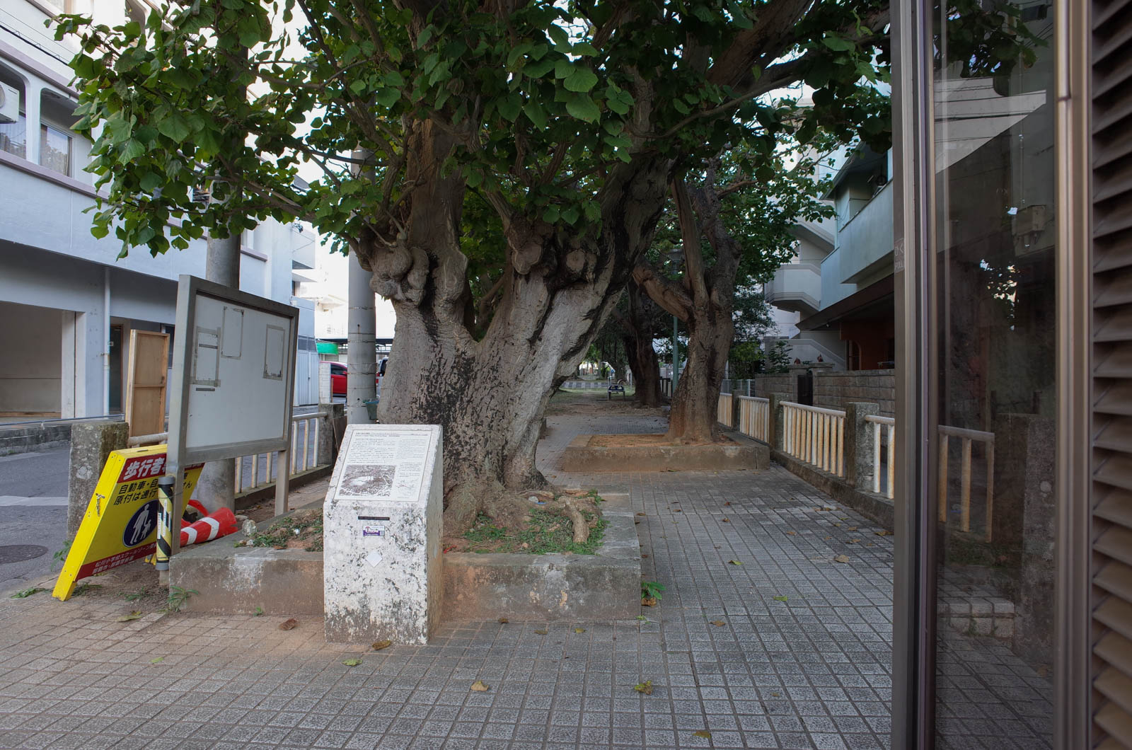 f:id:SQB:20190203212409j:plain