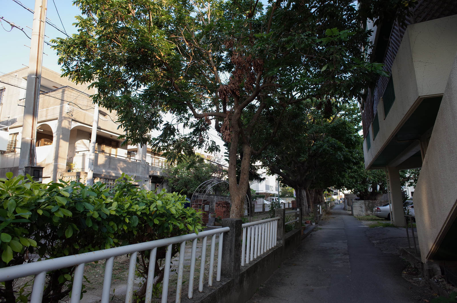 f:id:SQB:20190203212423j:plain