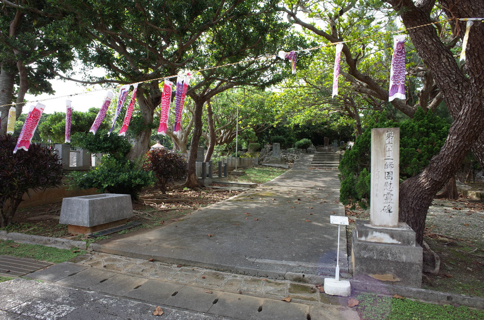 f:id:SQB:20190503200340j:plain