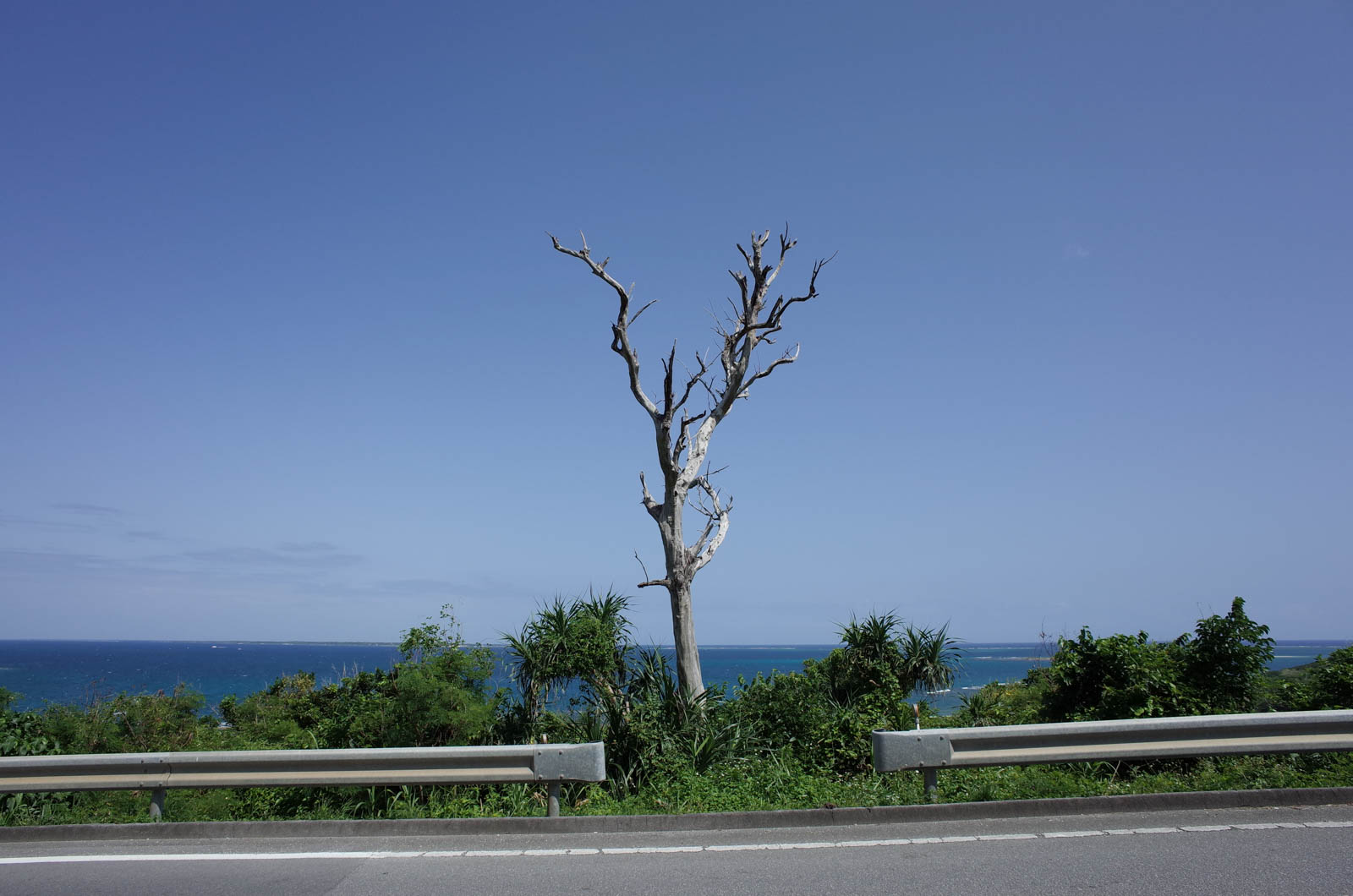 f:id:SQB:20190505214444j:plain