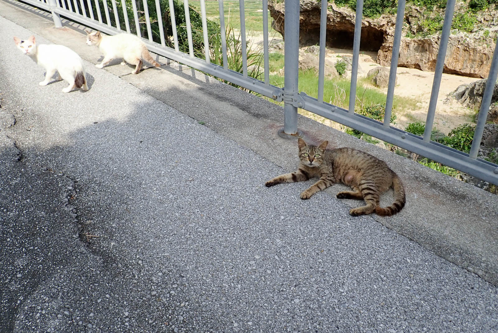 f:id:SQB:20190511203610j:plain