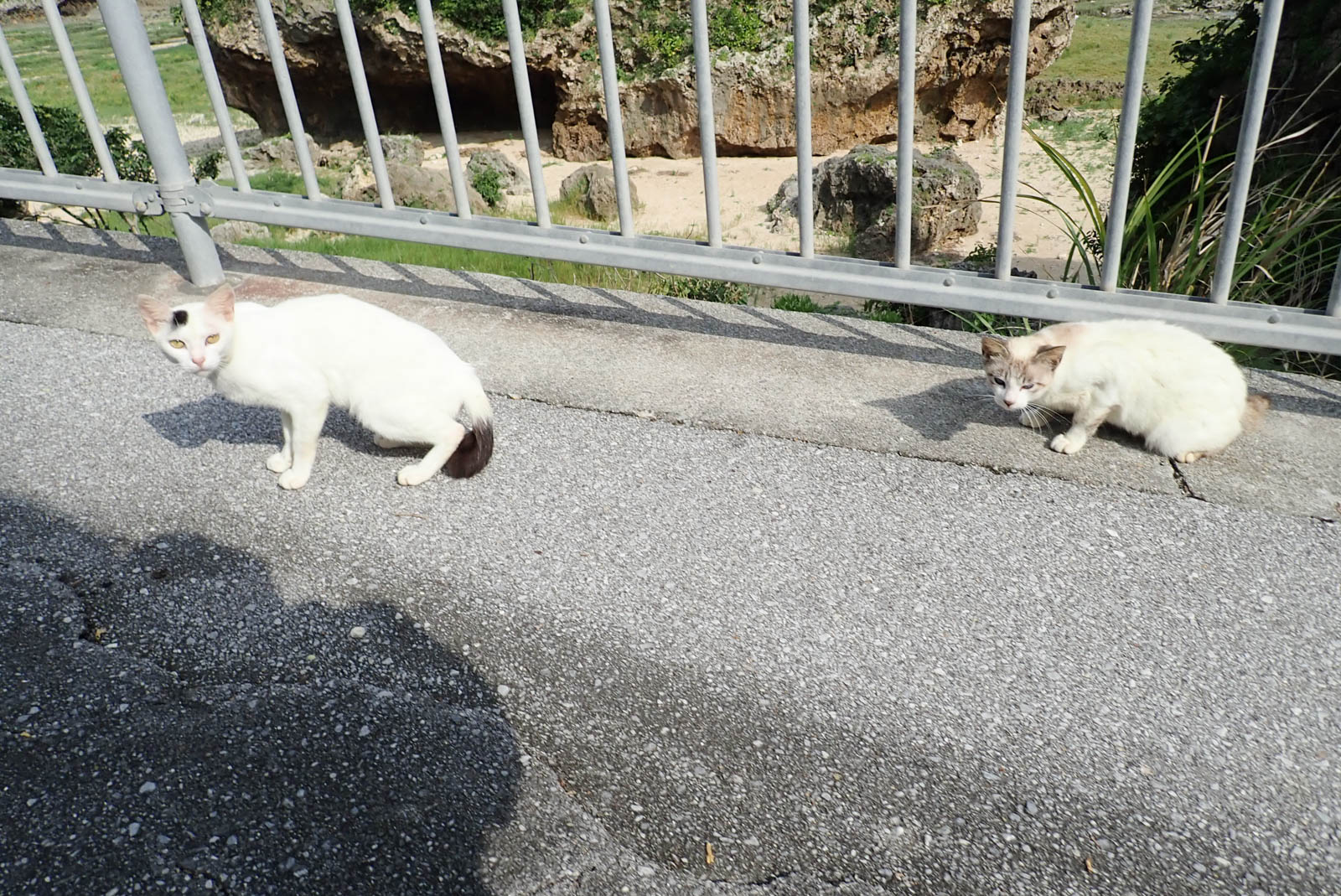 f:id:SQB:20190511203616j:plain