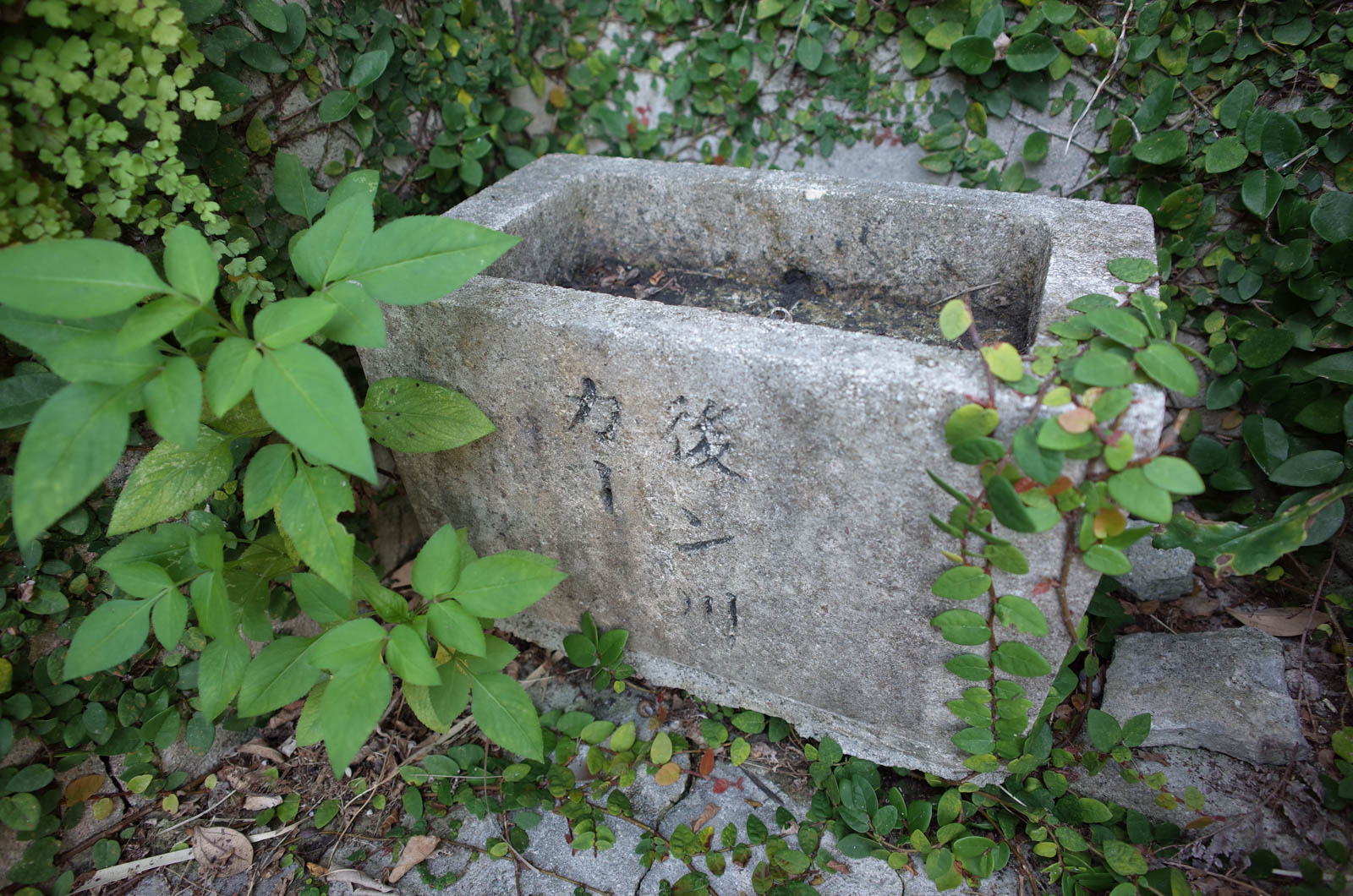 f:id:SQB:20190514193026j:plain