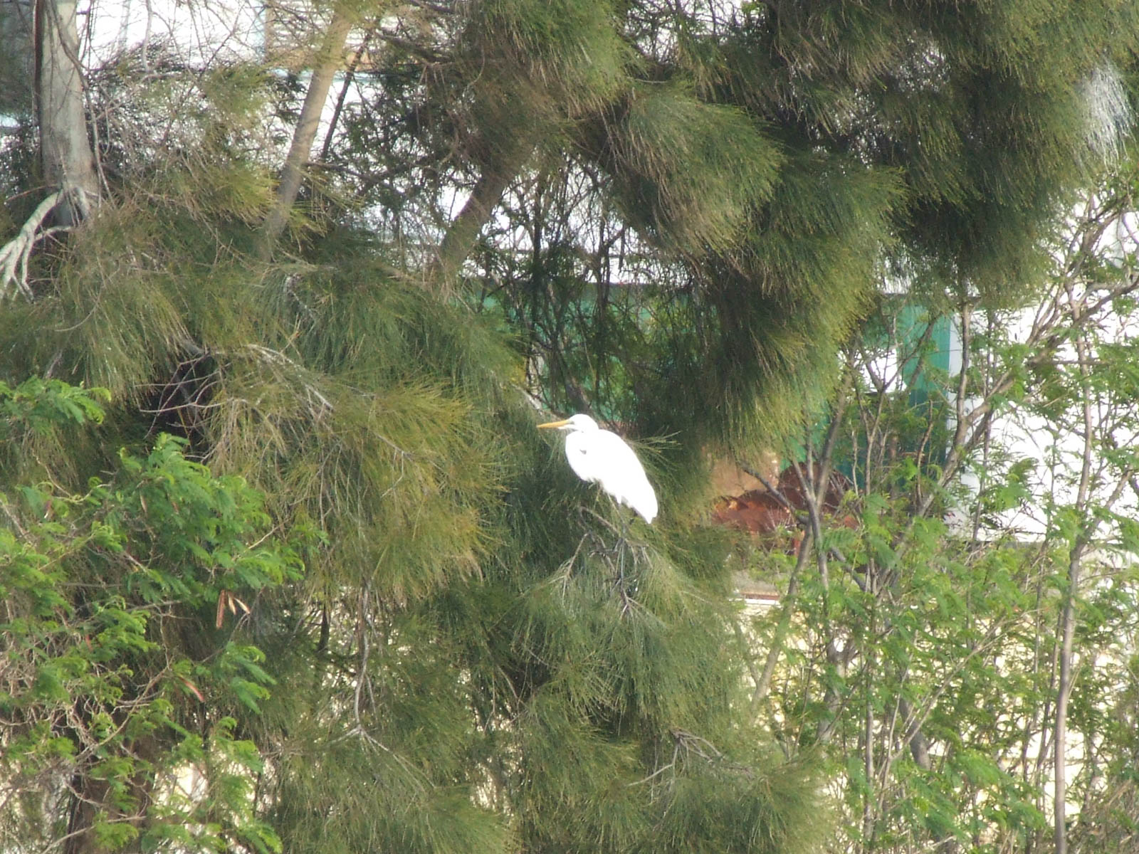 f:id:SQB:20190612191144j:plain