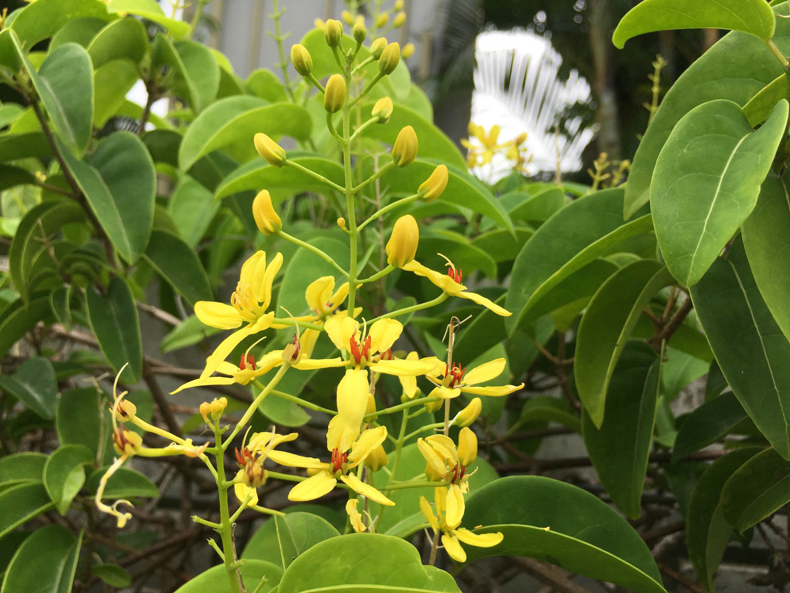 f:id:SQB:20190708182023j:plain