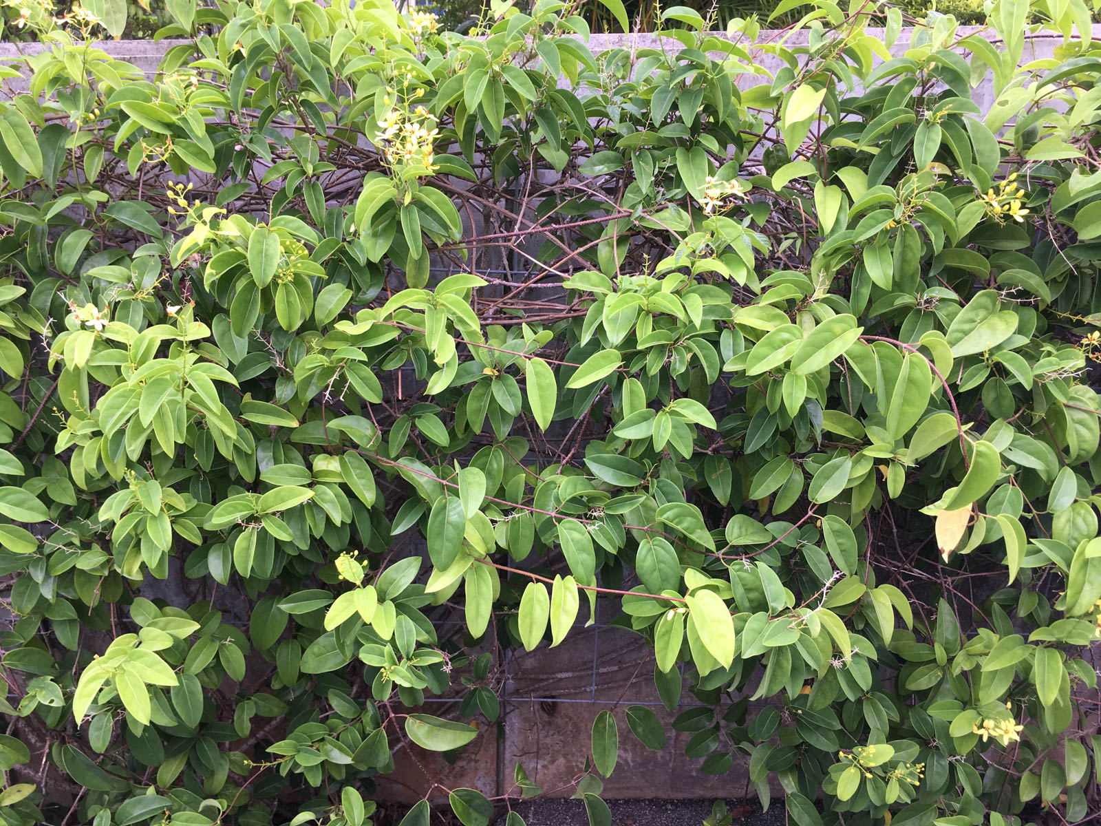 f:id:SQB:20190708182026j:plain