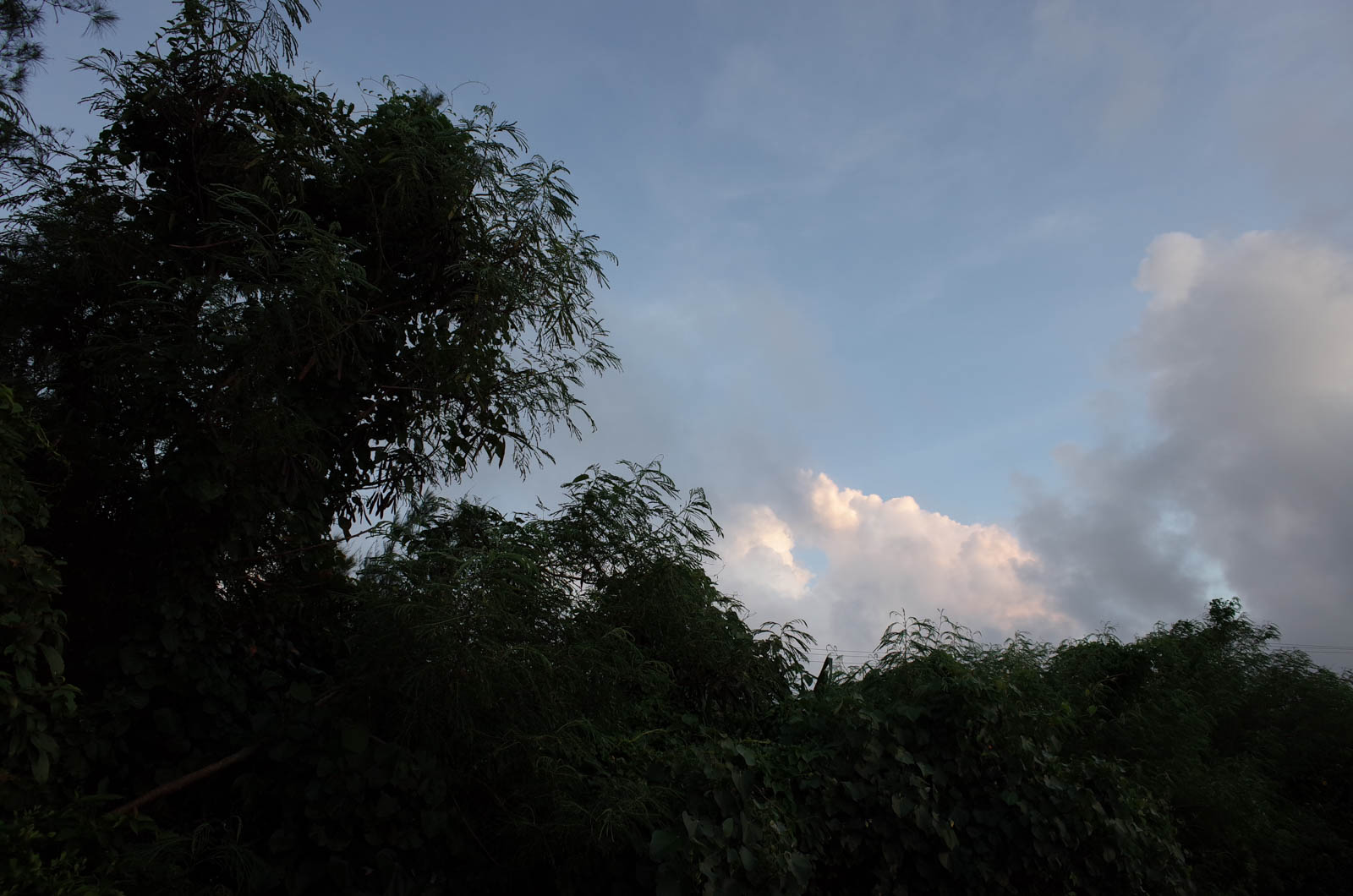 f:id:SQB:20190721230659j:plain