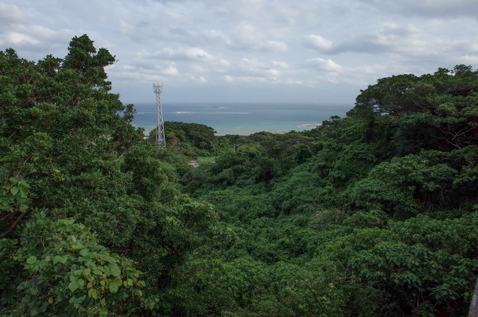 f:id:SQB:20200113213219j:plain