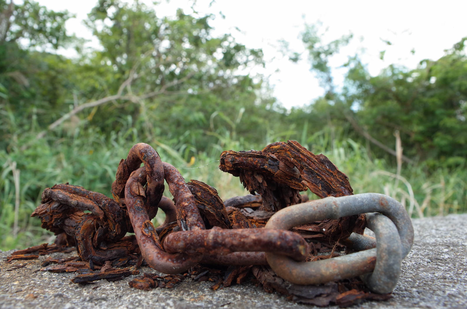 f:id:SQB:20200113213808j:plain