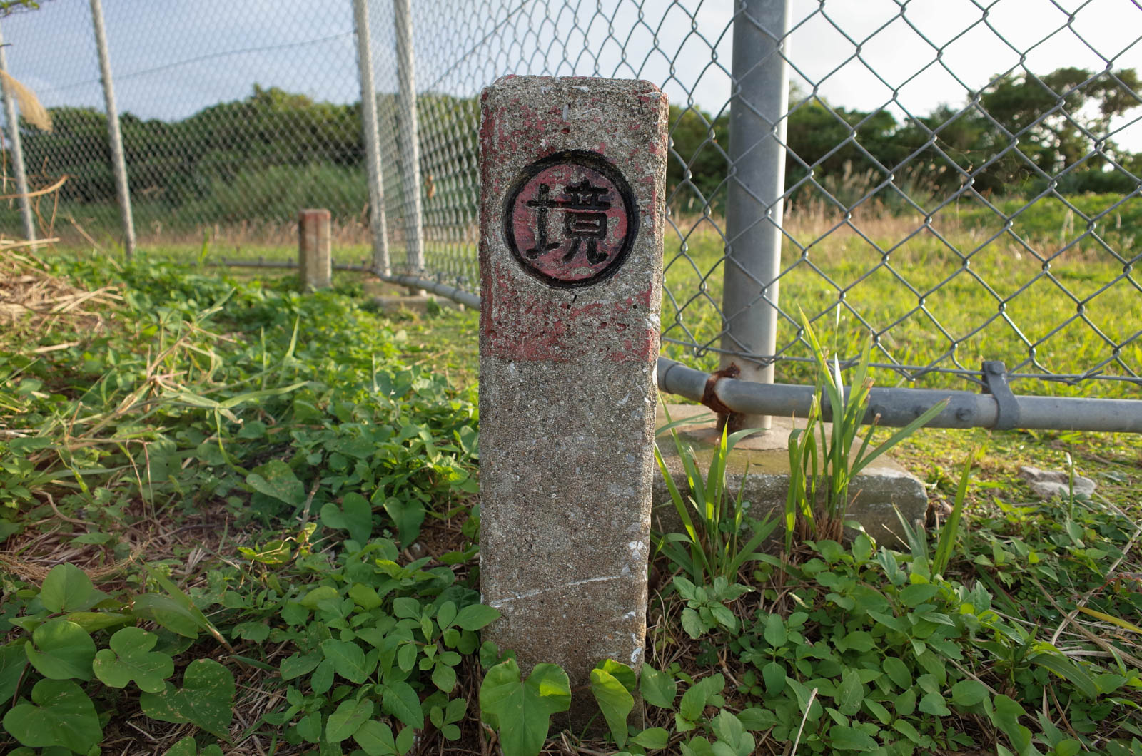 f:id:SQB:20200113213846j:plain