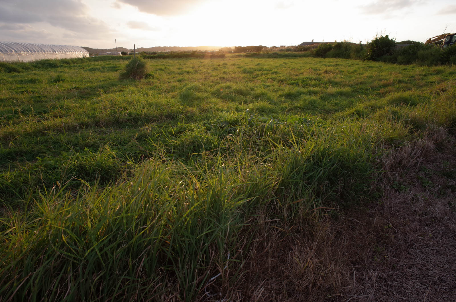 f:id:SQB:20200113215949j:plain