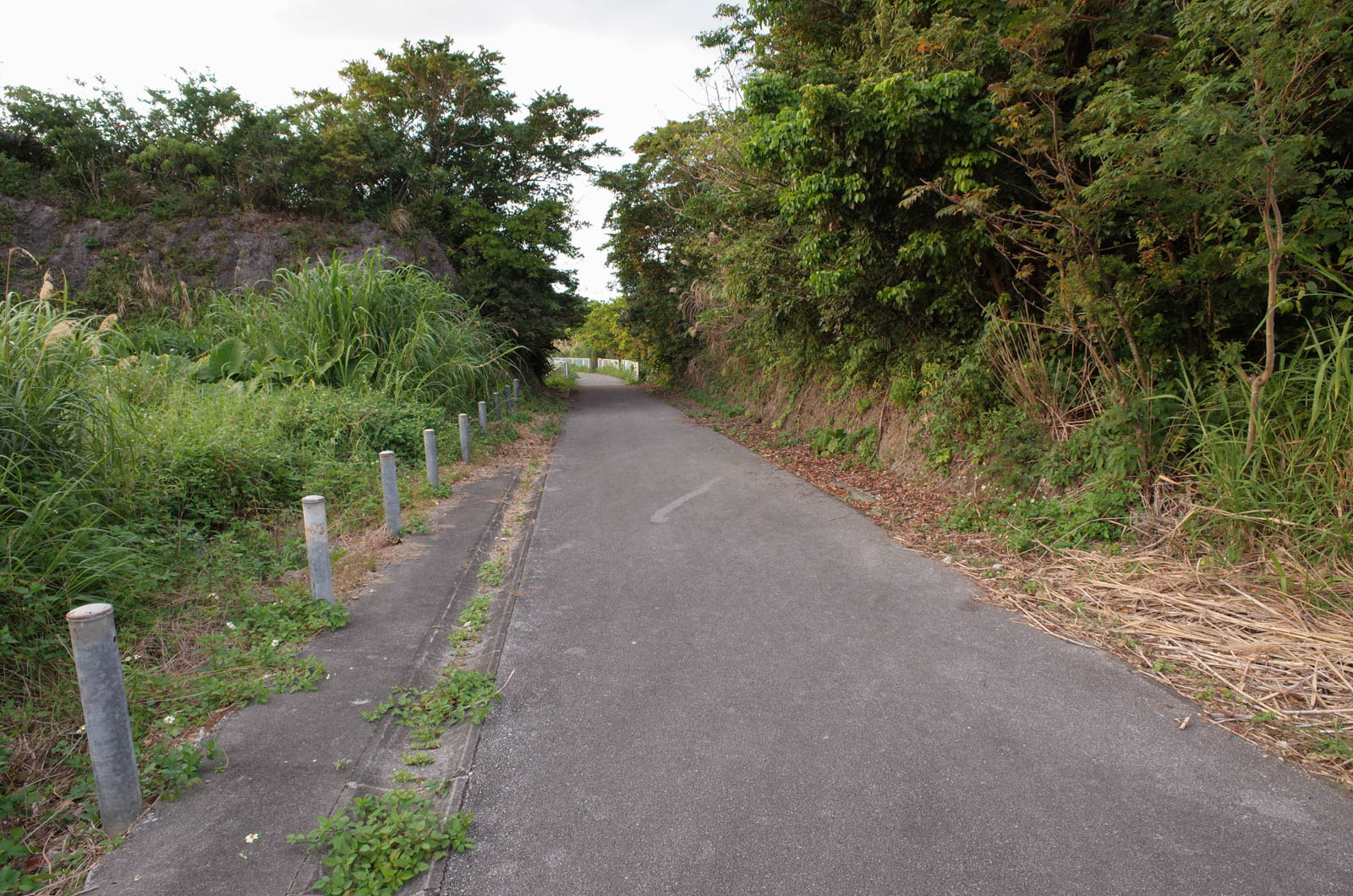 f:id:SQB:20200113220649j:plain