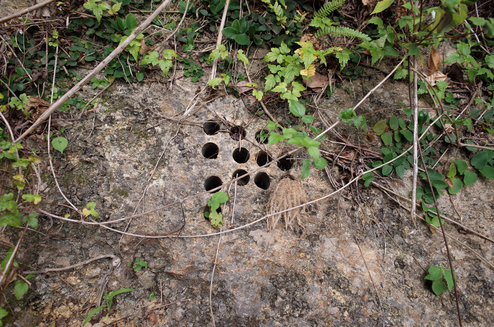 f:id:SQB:20200113220655j:plain