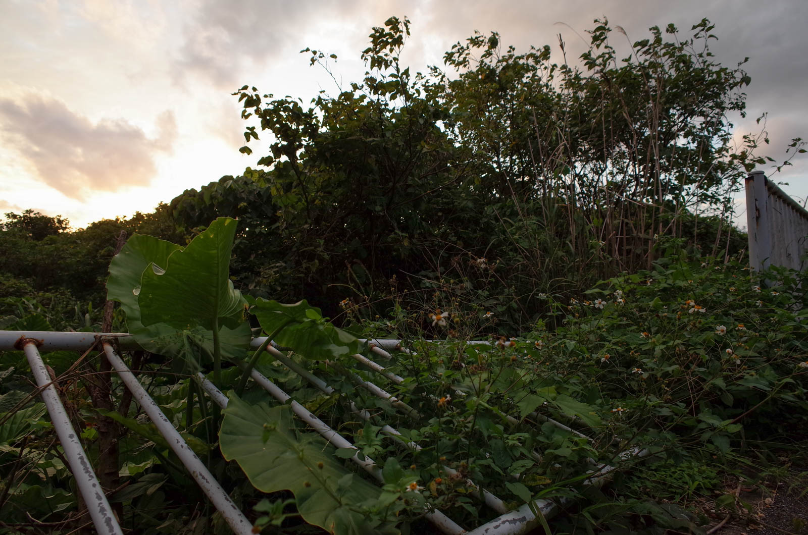 f:id:SQB:20200113220708j:plain