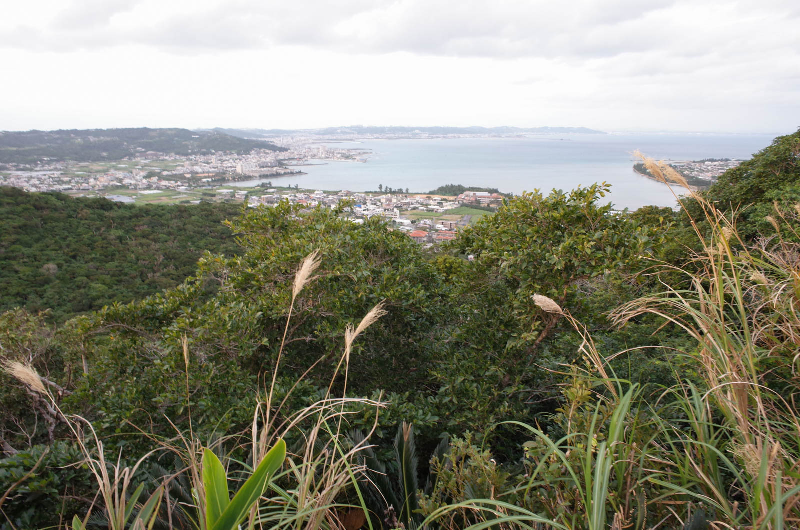 f:id:SQB:20200113220712j:plain