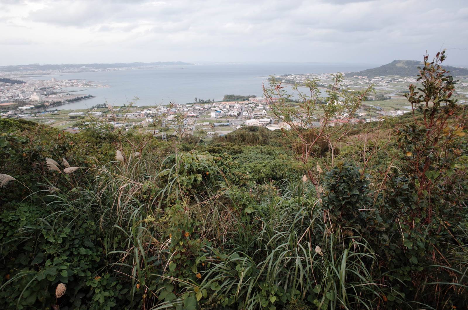 f:id:SQB:20200113220948j:plain