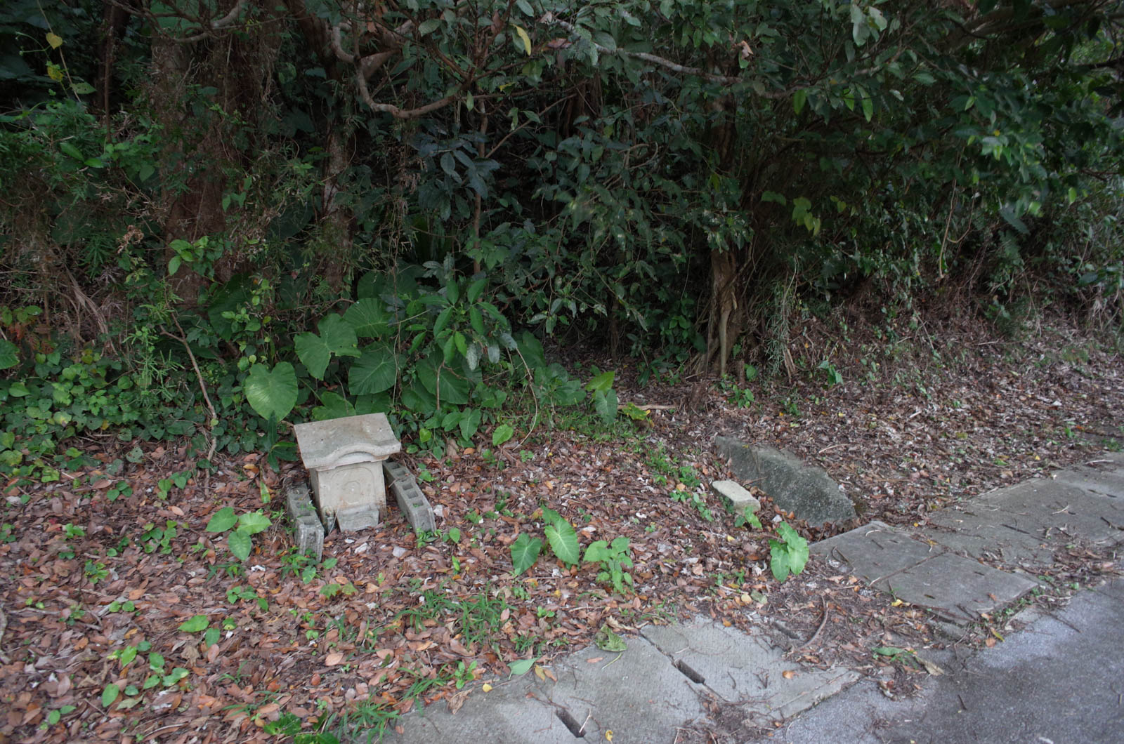 f:id:SQB:20200113221000j:plain