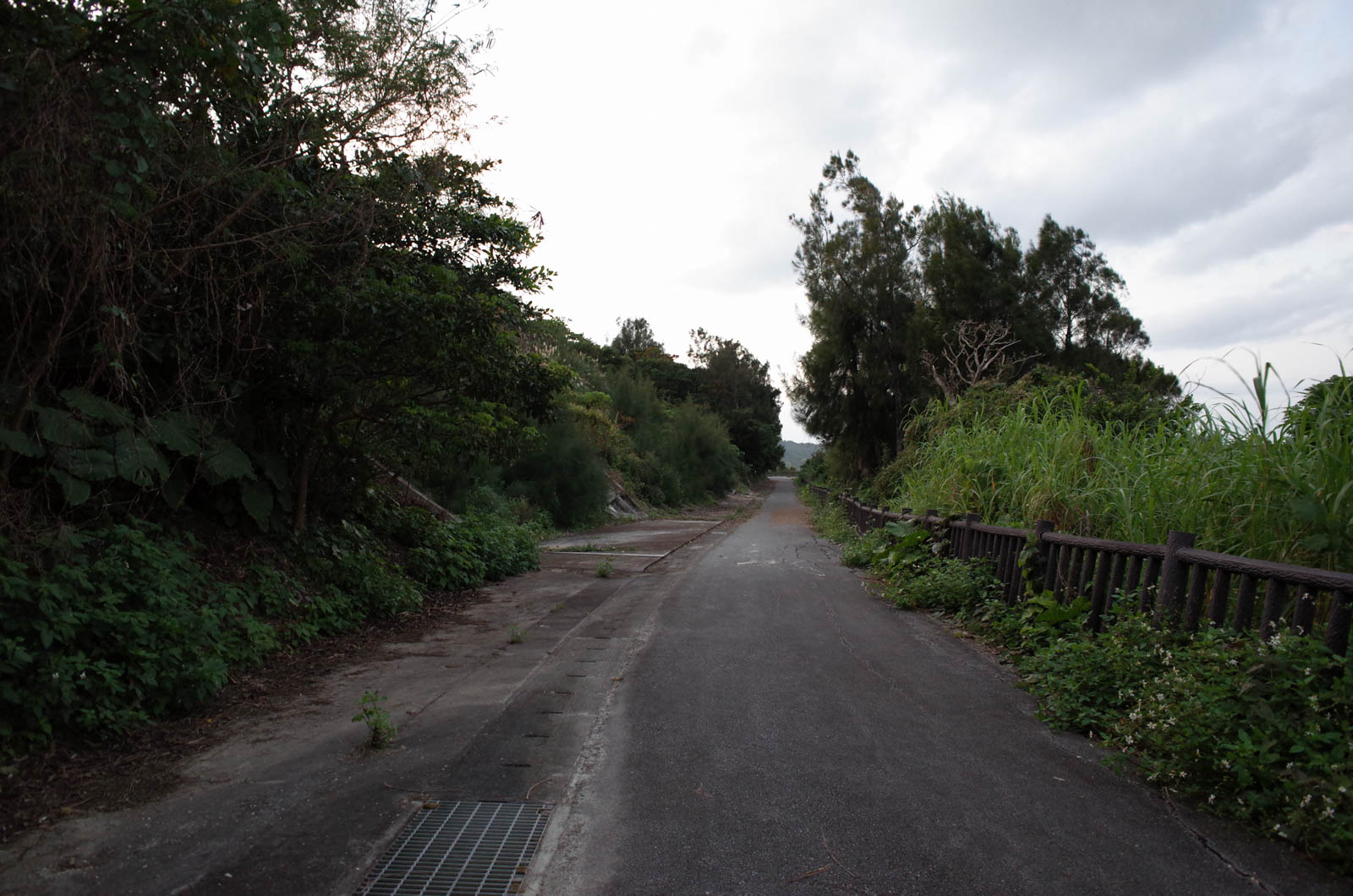 f:id:SQB:20200113221007j:plain