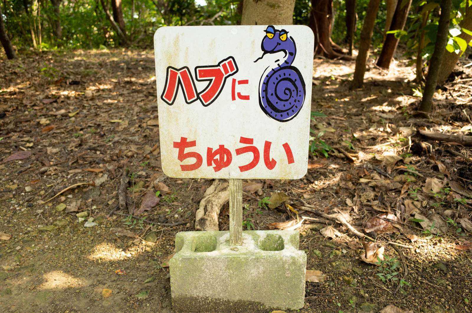 f:id:SQB:20200320205511j:plain