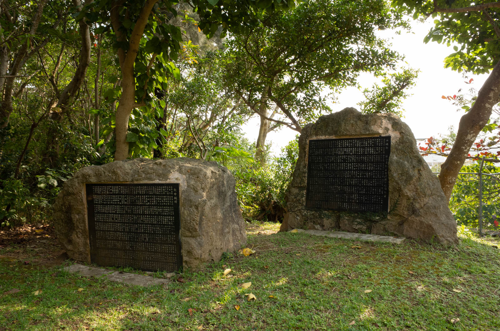 f:id:SQB:20200320205521j:plain