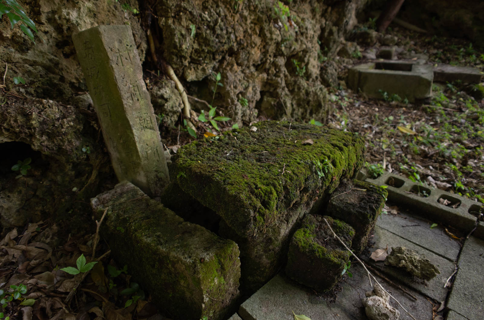 f:id:SQB:20200327151237j:plain