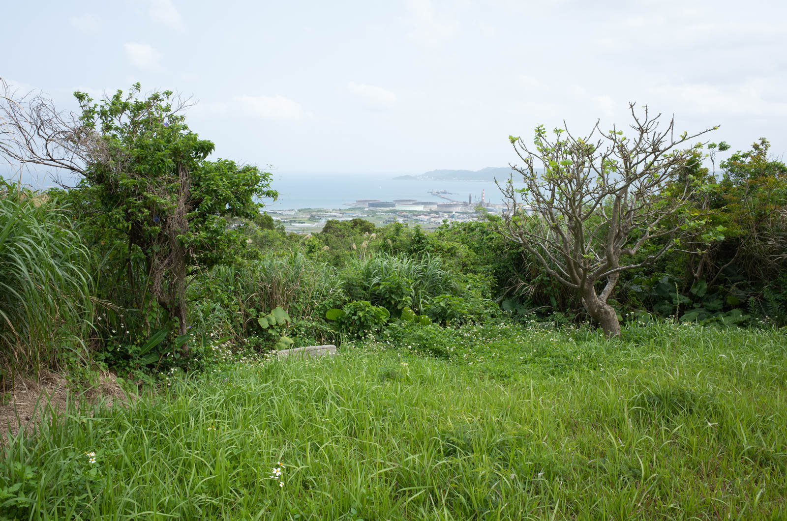 f:id:SQB:20200409160410j:plain