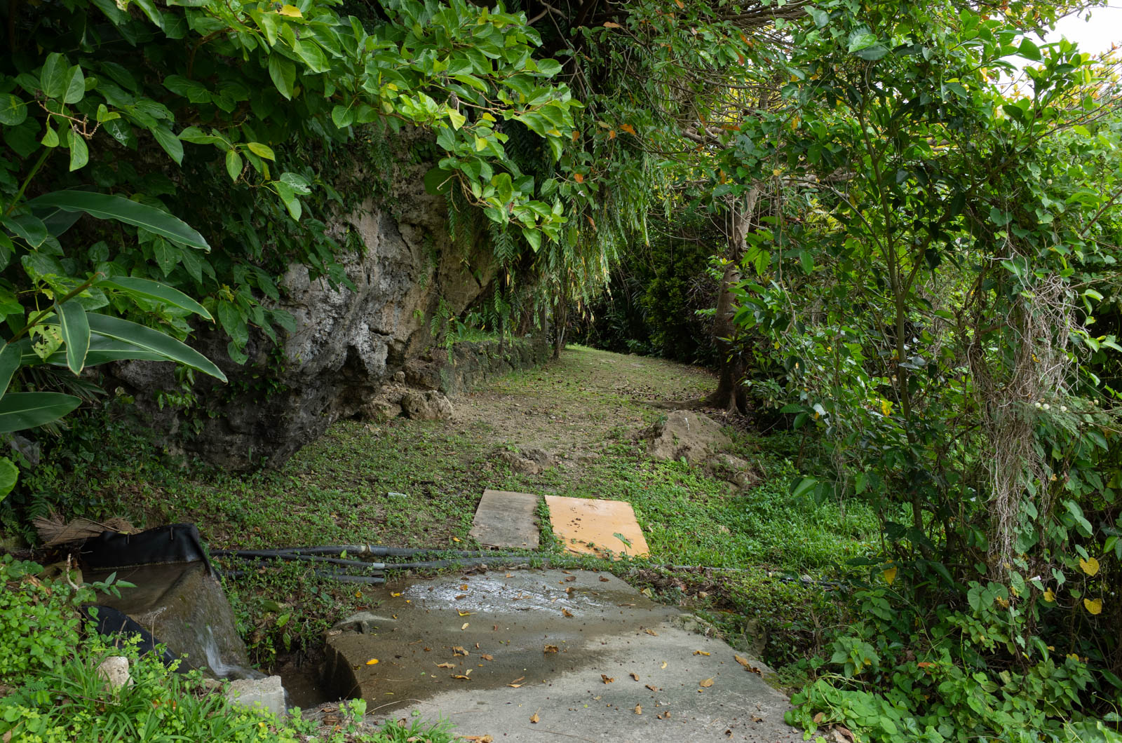 f:id:SQB:20200424151823j:plain