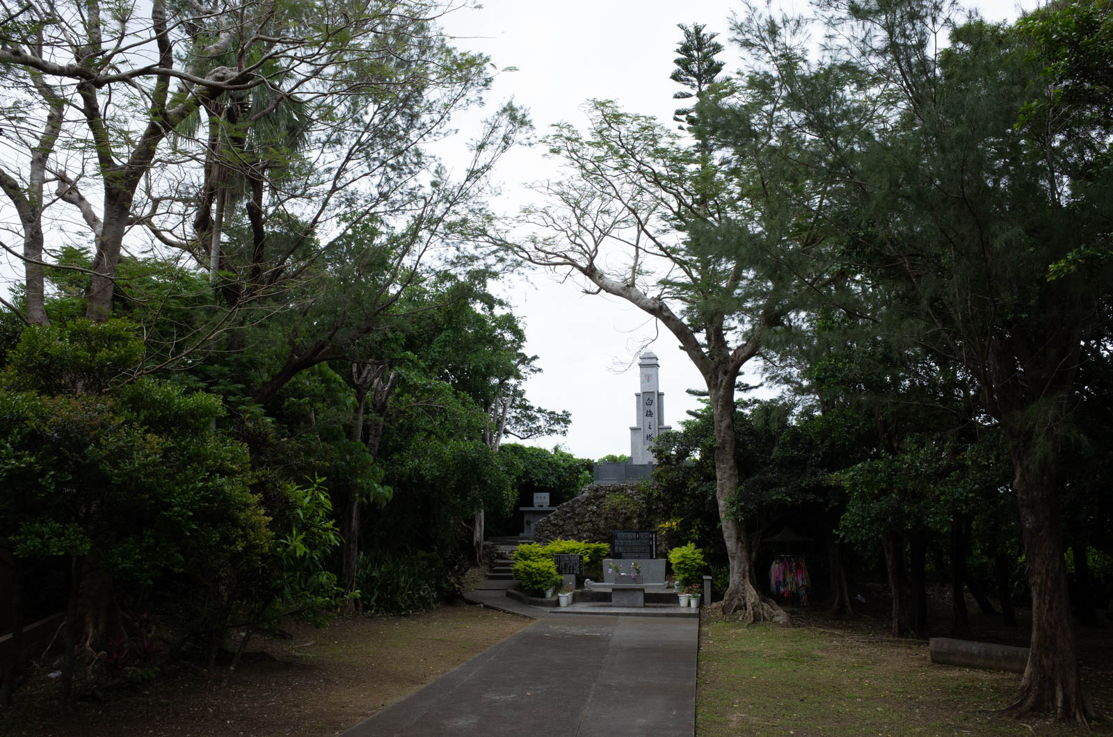 f:id:SQB:20200509201414j:plain