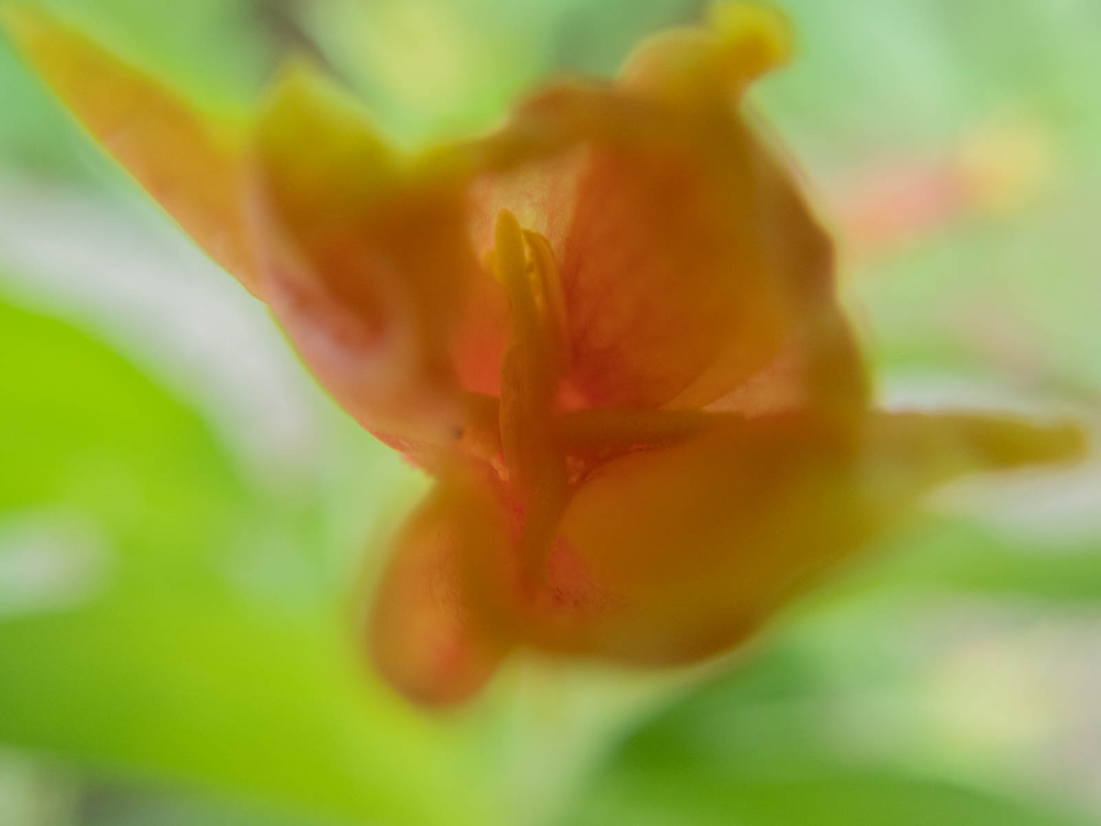 f:id:SQB:20200518144241j:image