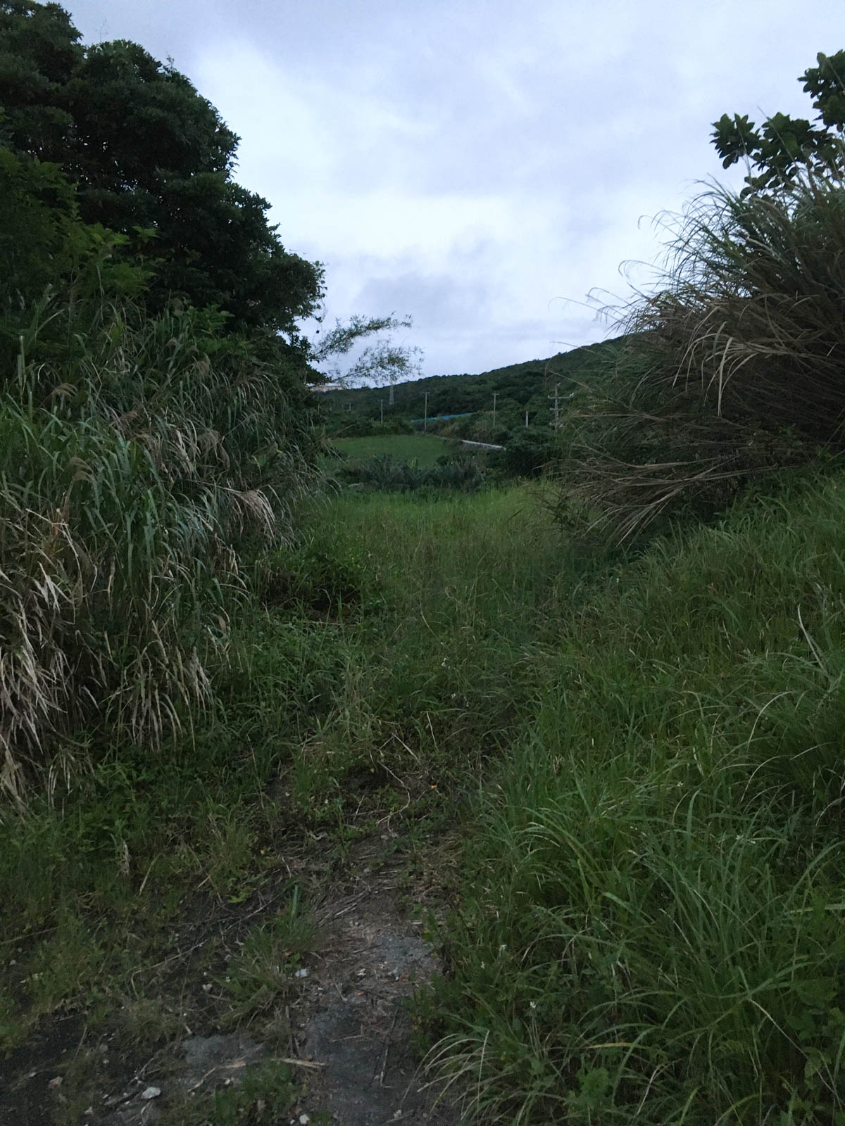 f:id:SQB:20200529164522j:plain