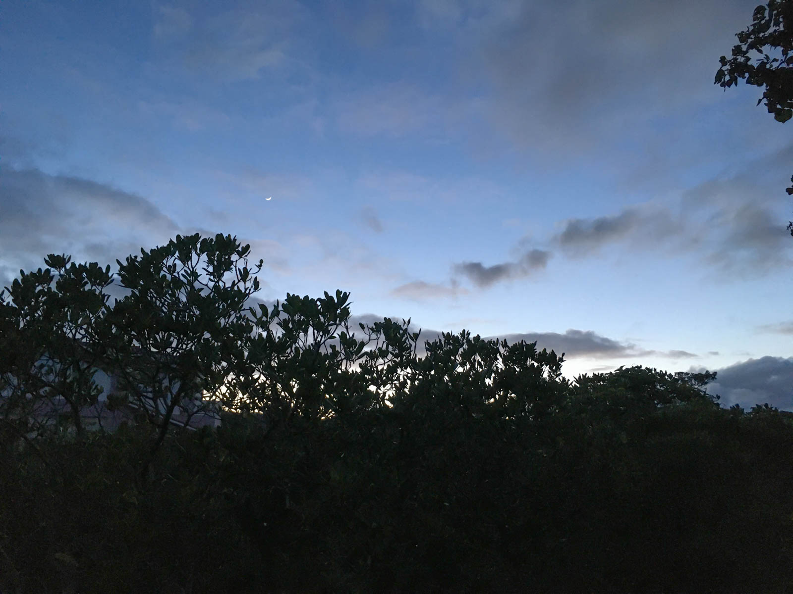 f:id:SQB:20200529164610j:plain