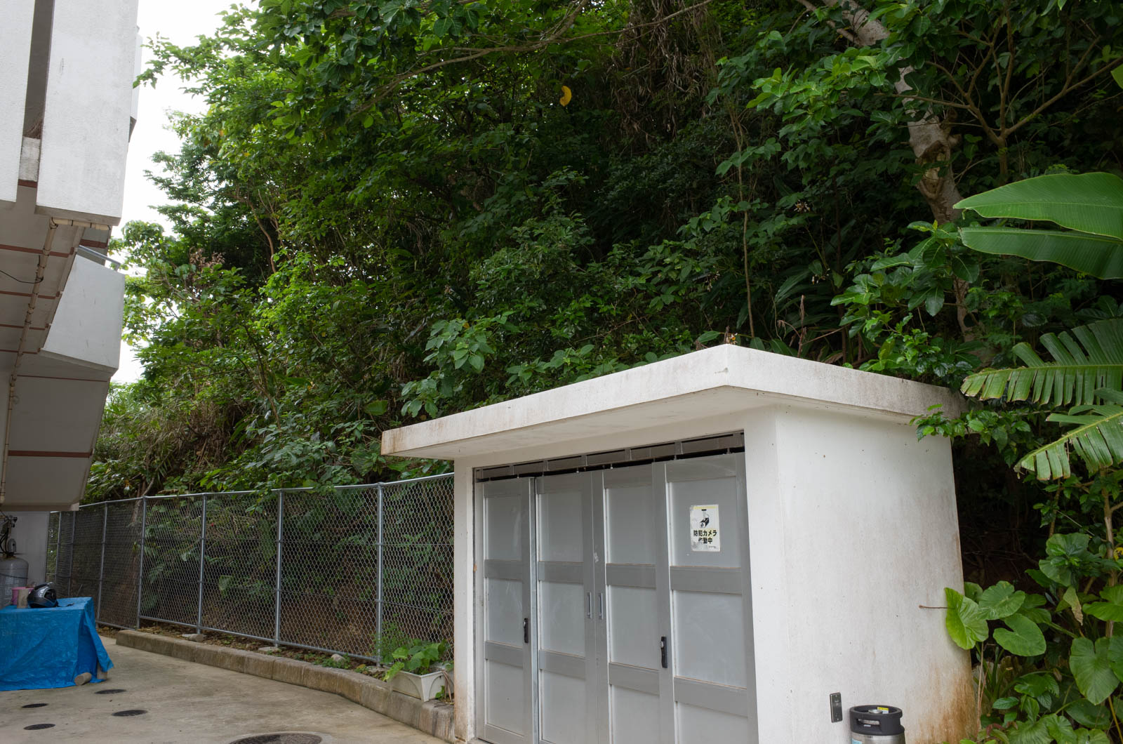 f:id:SQB:20200529175136j:plain