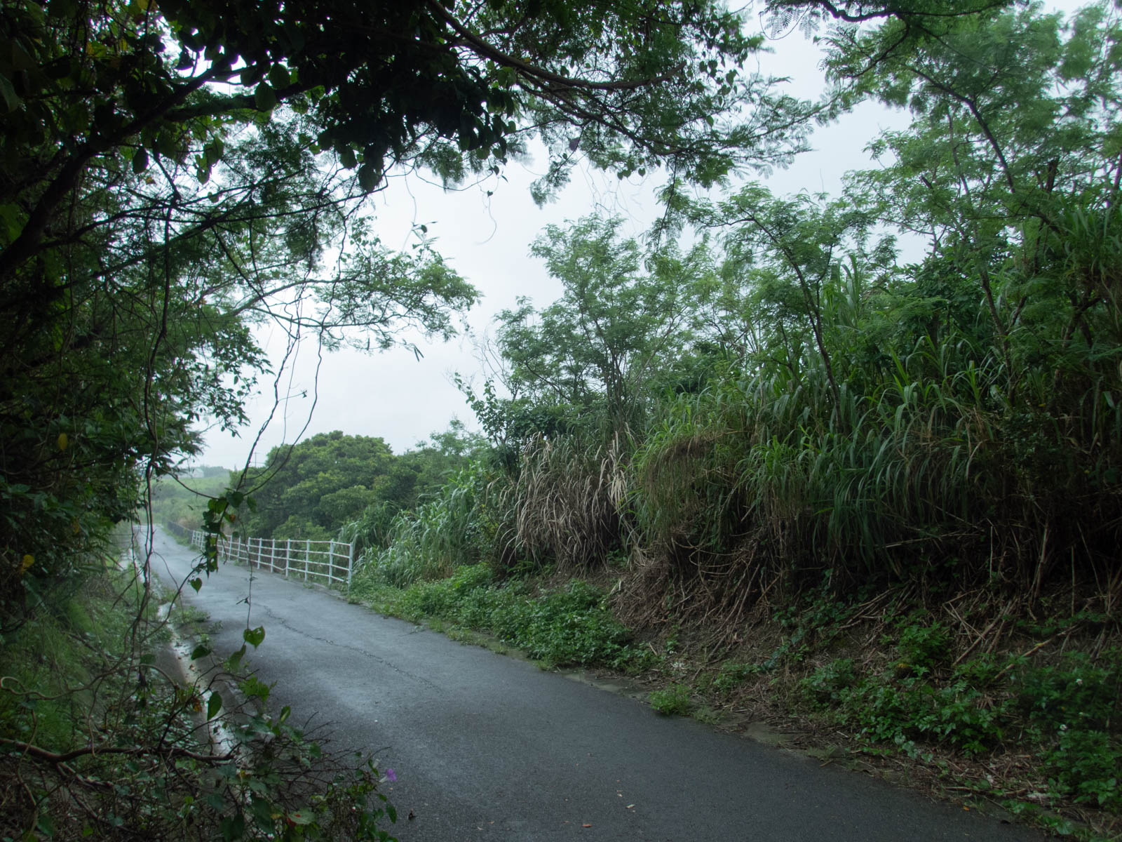 f:id:SQB:20200530200403j:plain