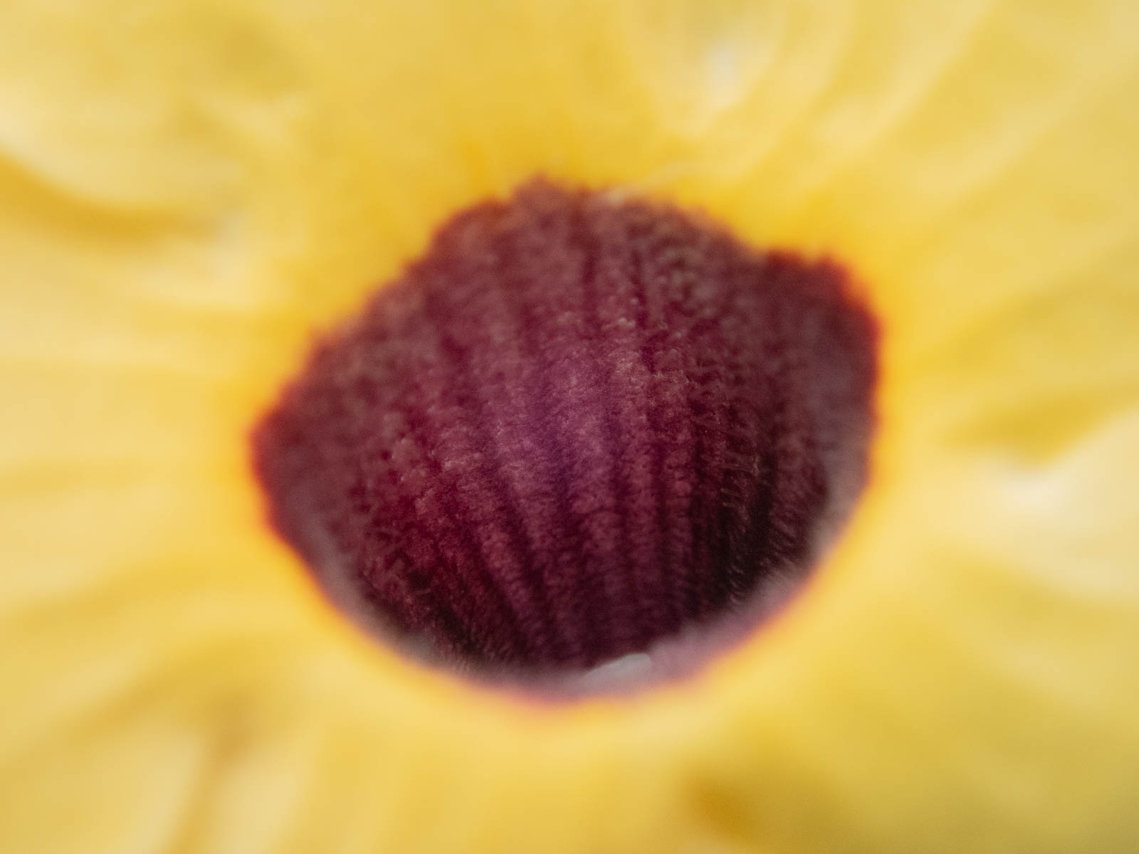 f:id:SQB:20200604172155j:plain