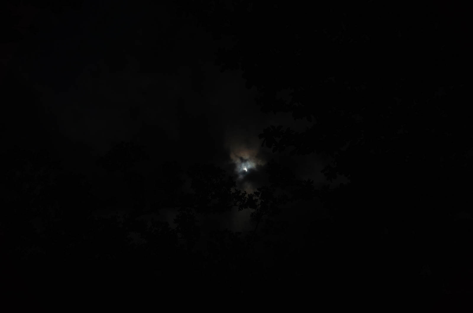 f:id:SQB:20200621220111j:plain