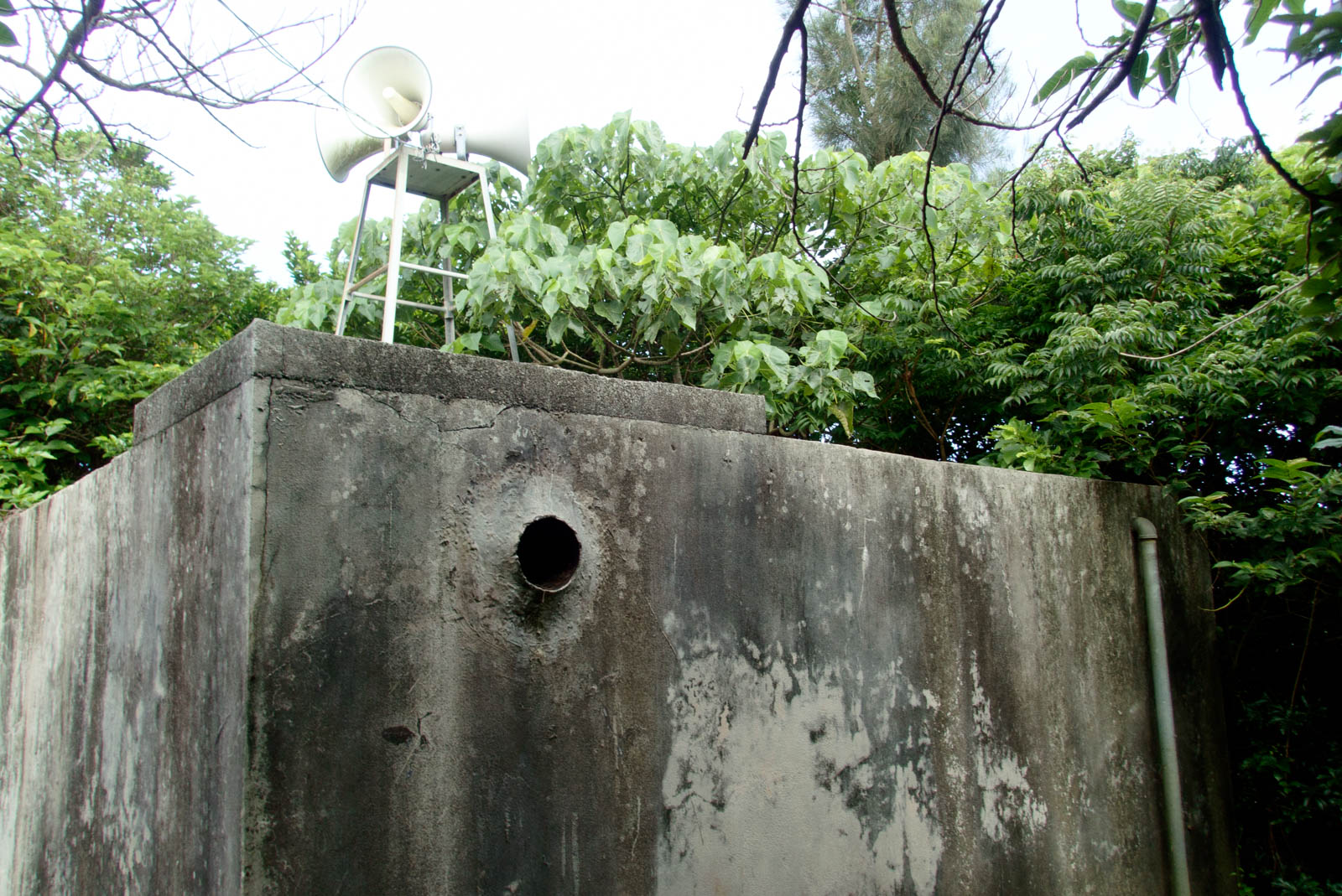 f:id:SQB:20200706121825j:plain