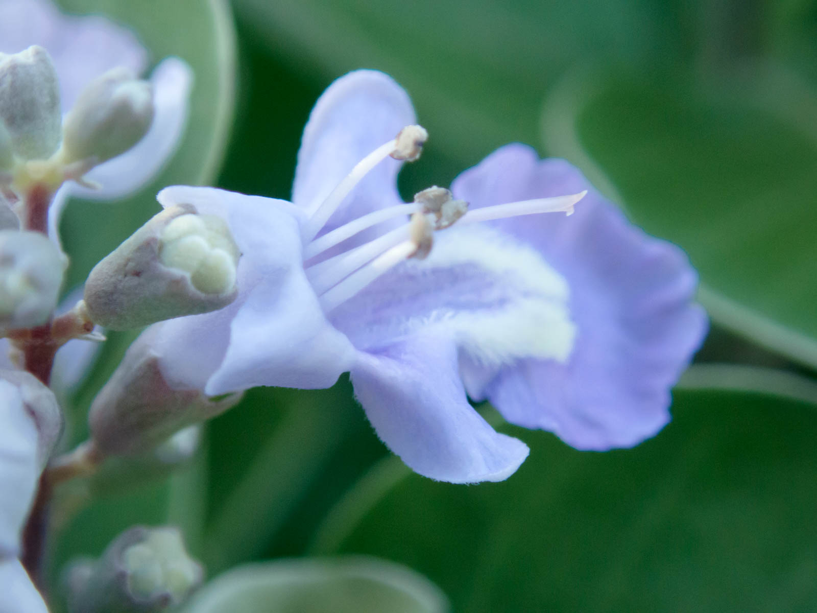 f:id:SQB:20200708102811j:plain