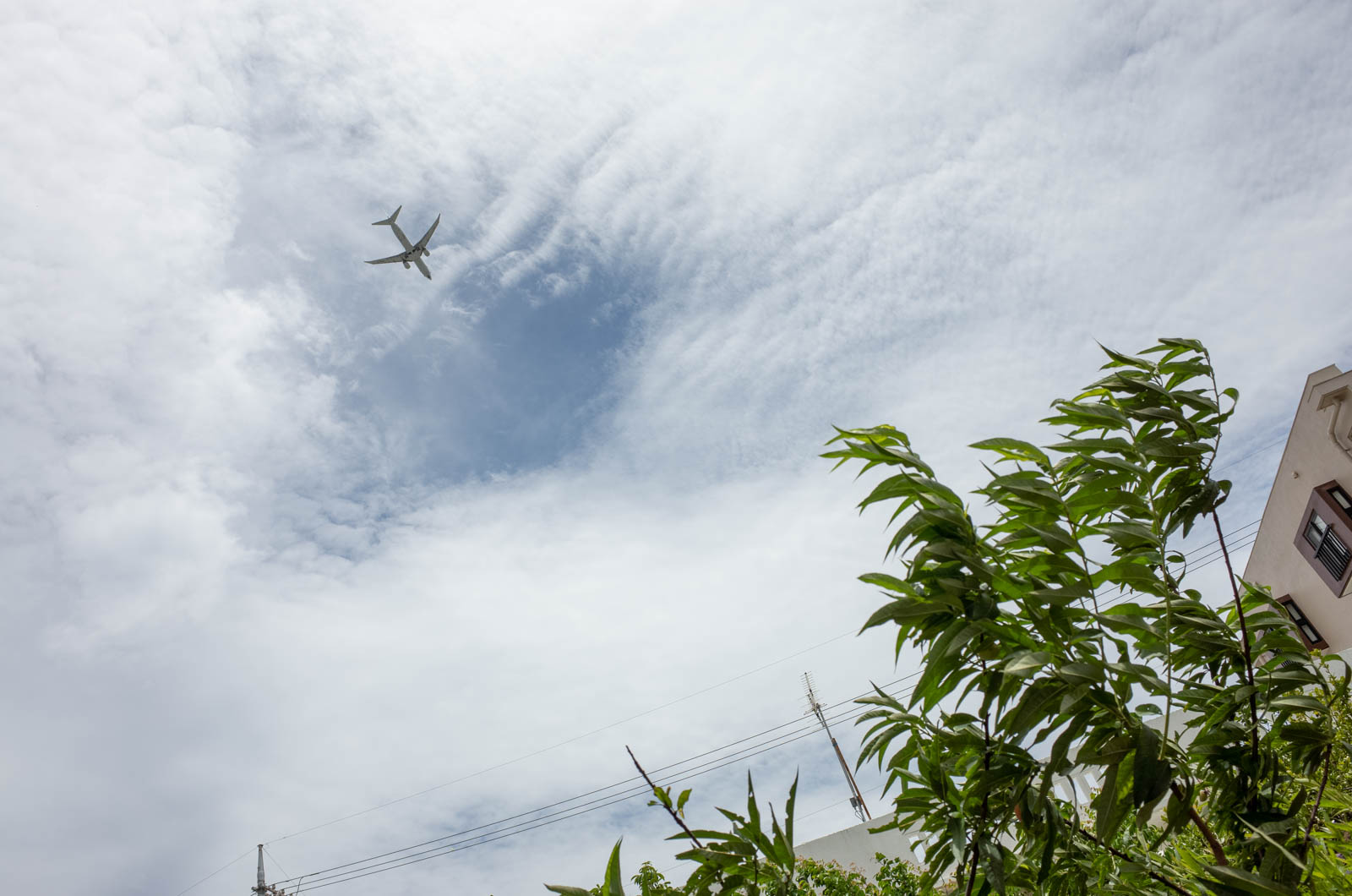 f:id:SQB:20200709214155j:plain