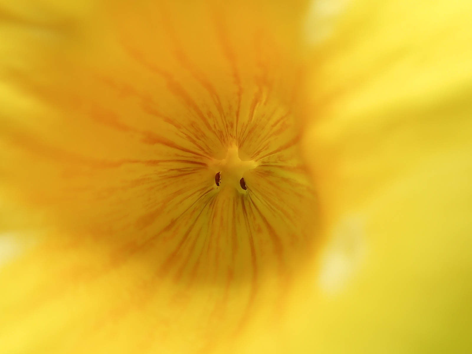 f:id:SQB:20200721140406j:plain