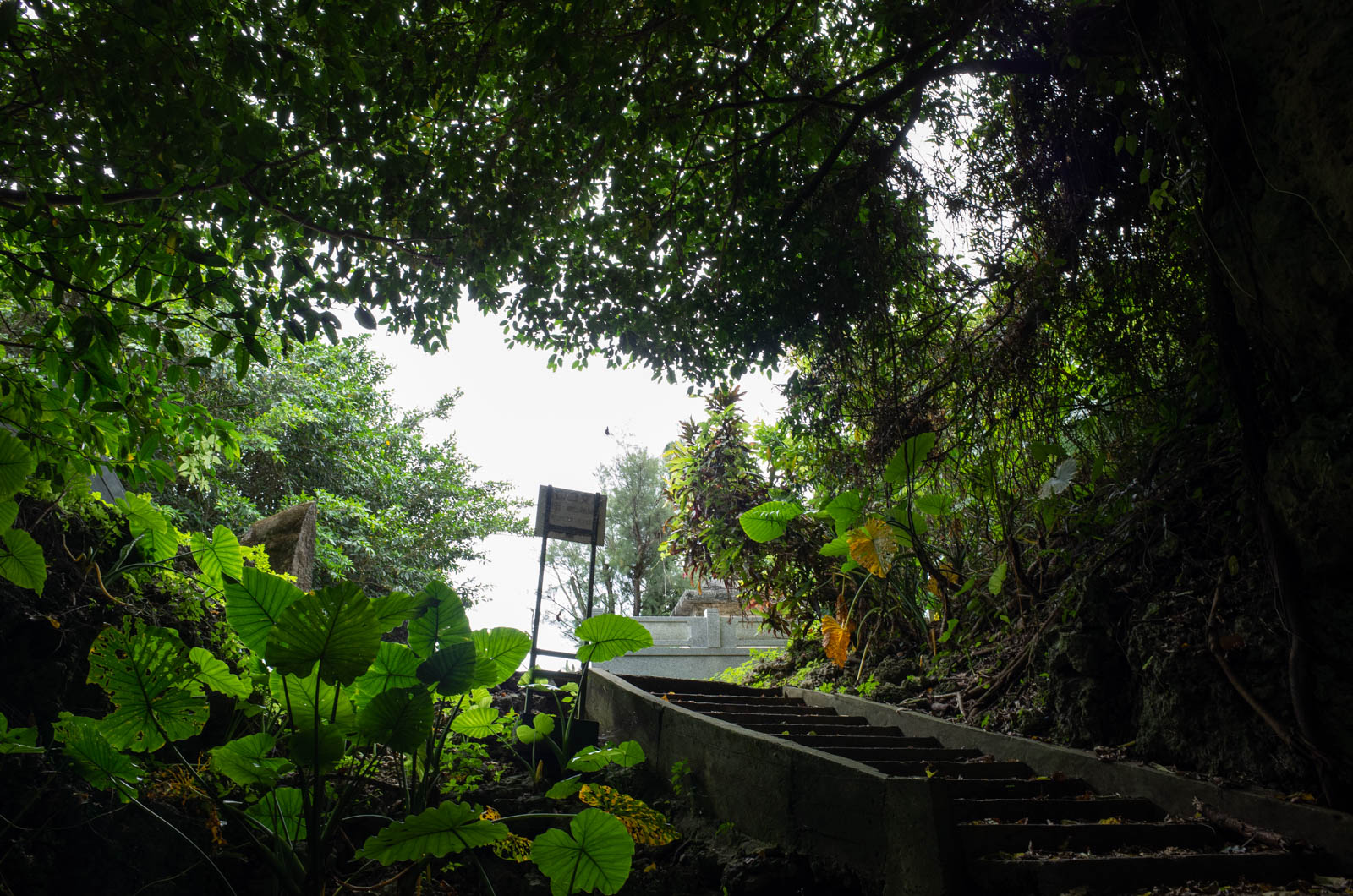 f:id:SQB:20200802164722j:plain