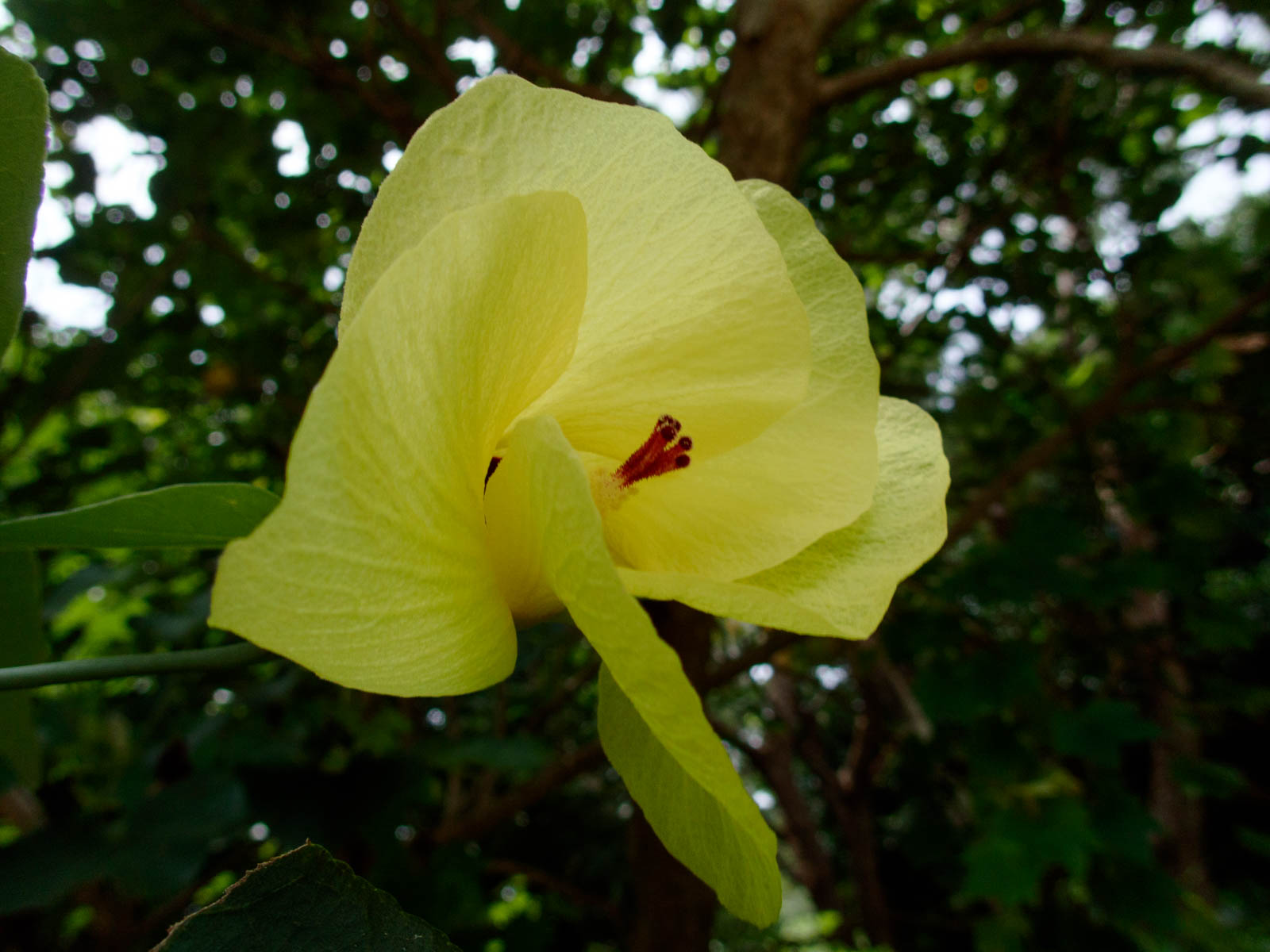 f:id:SQB:20200804135415j:plain