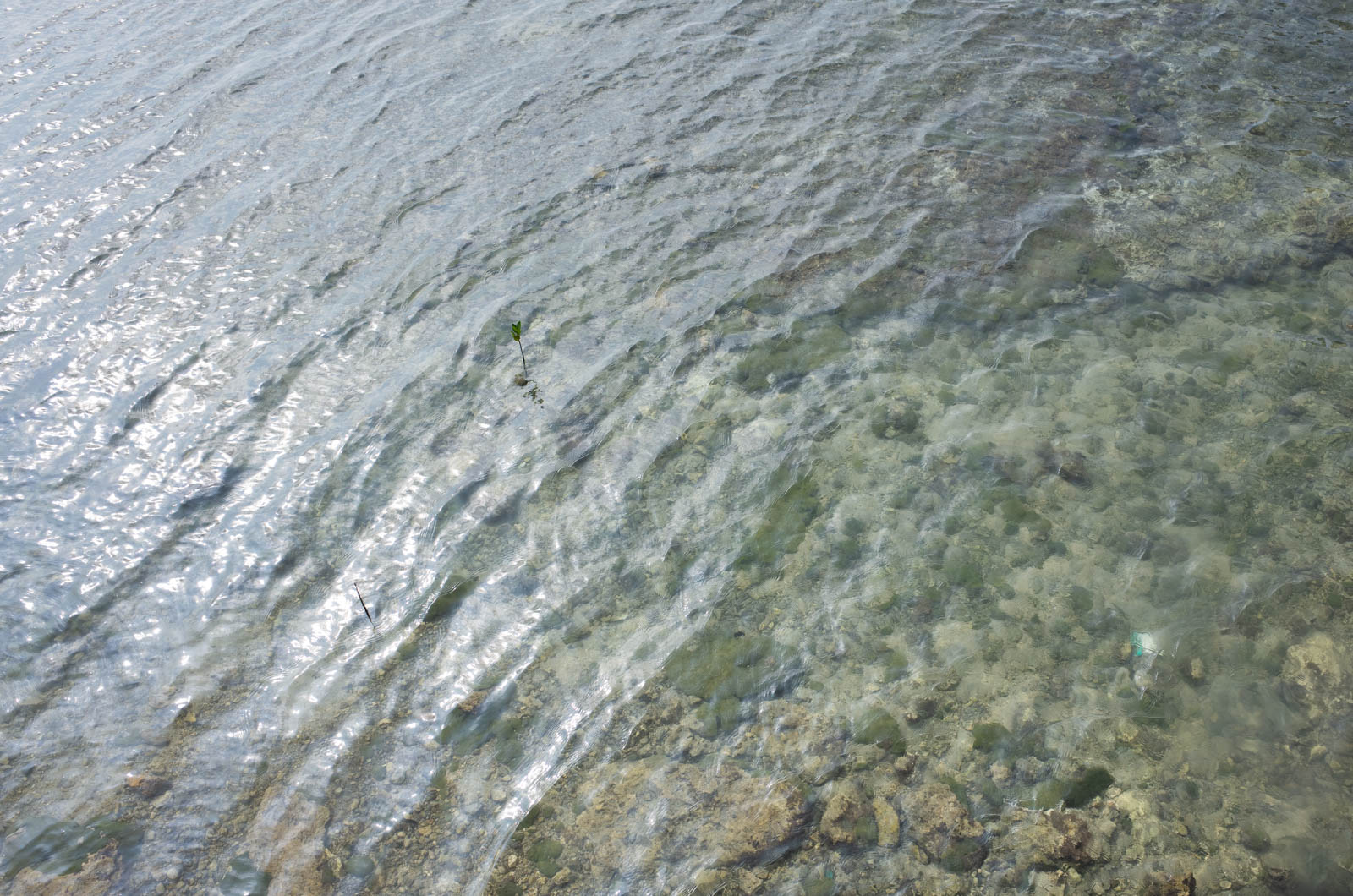 f:id:SQB:20200816211931j:plain