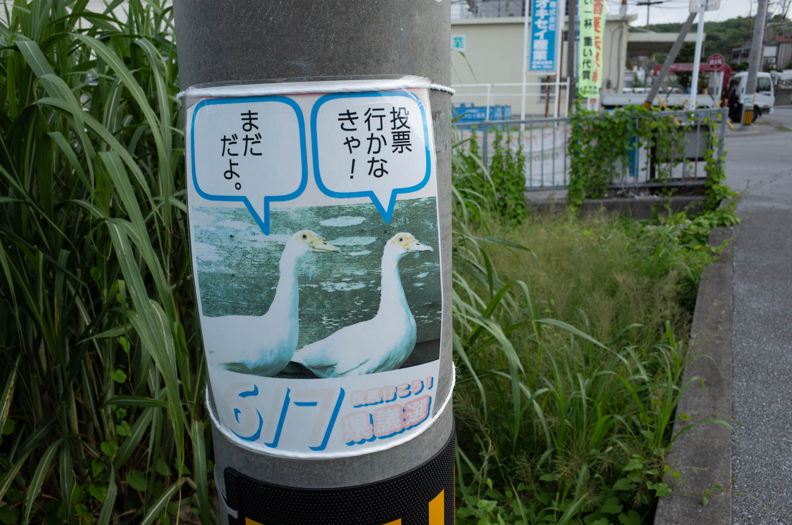 f:id:SQB:20200816213916j:plain