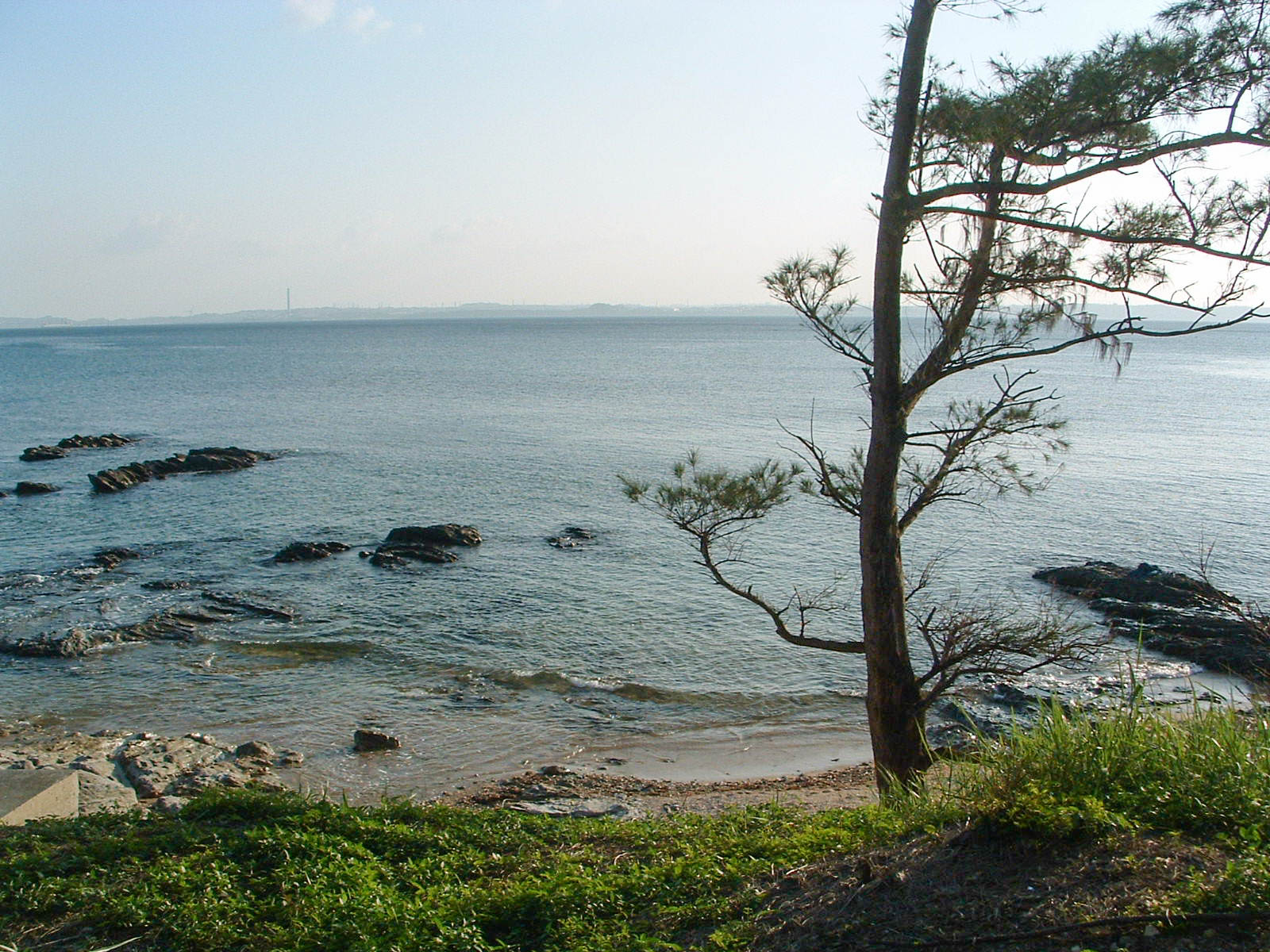 f:id:SQB:20200924114712j:plain