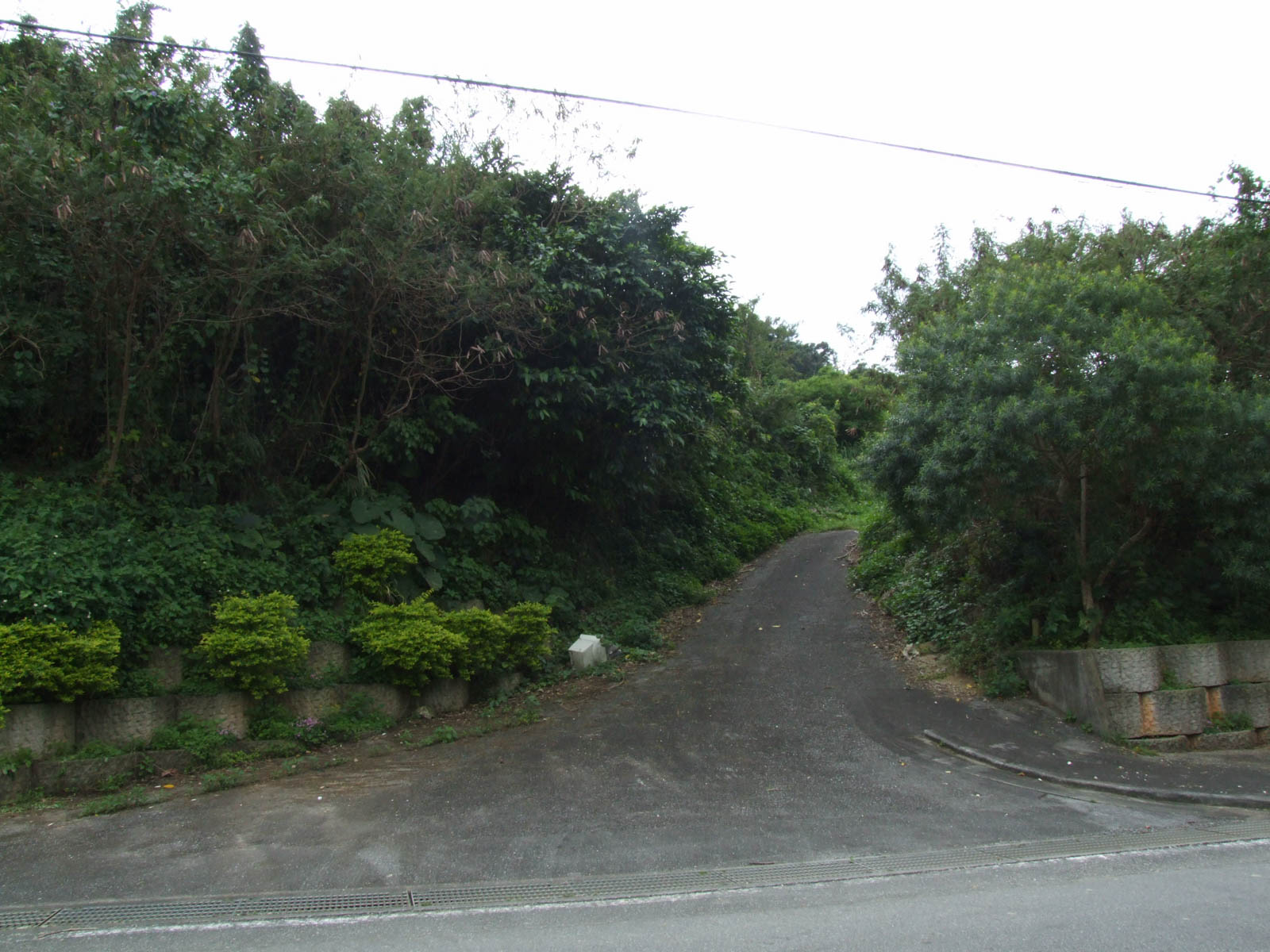 f:id:SQB:20200929152847j:plain