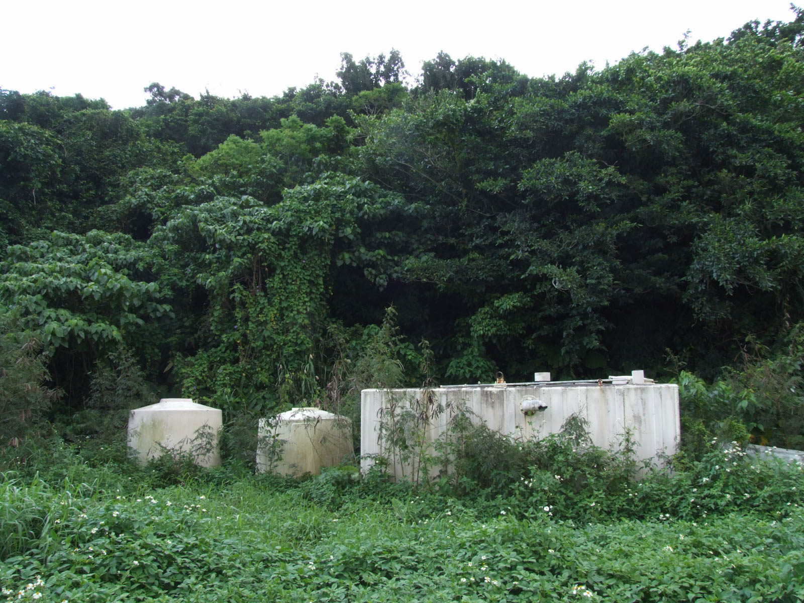 f:id:SQB:20200929152910j:plain