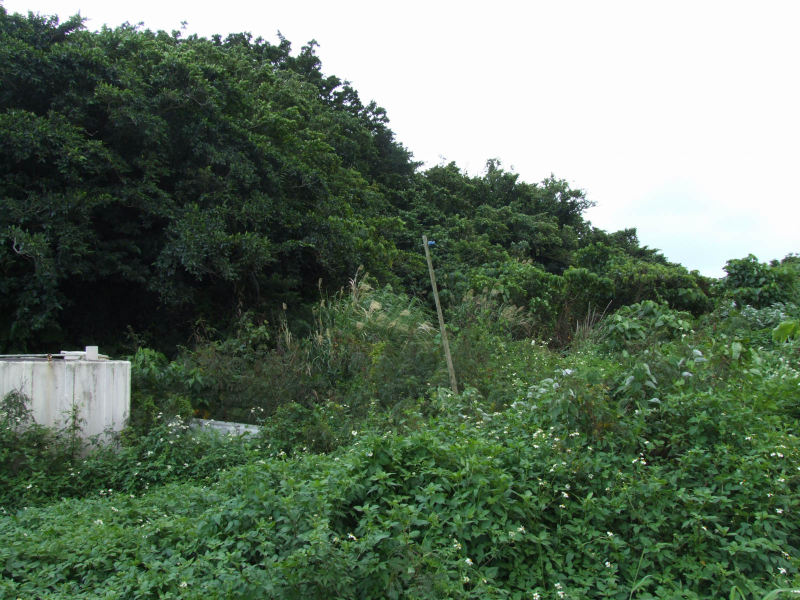 f:id:SQB:20200929152917j:plain