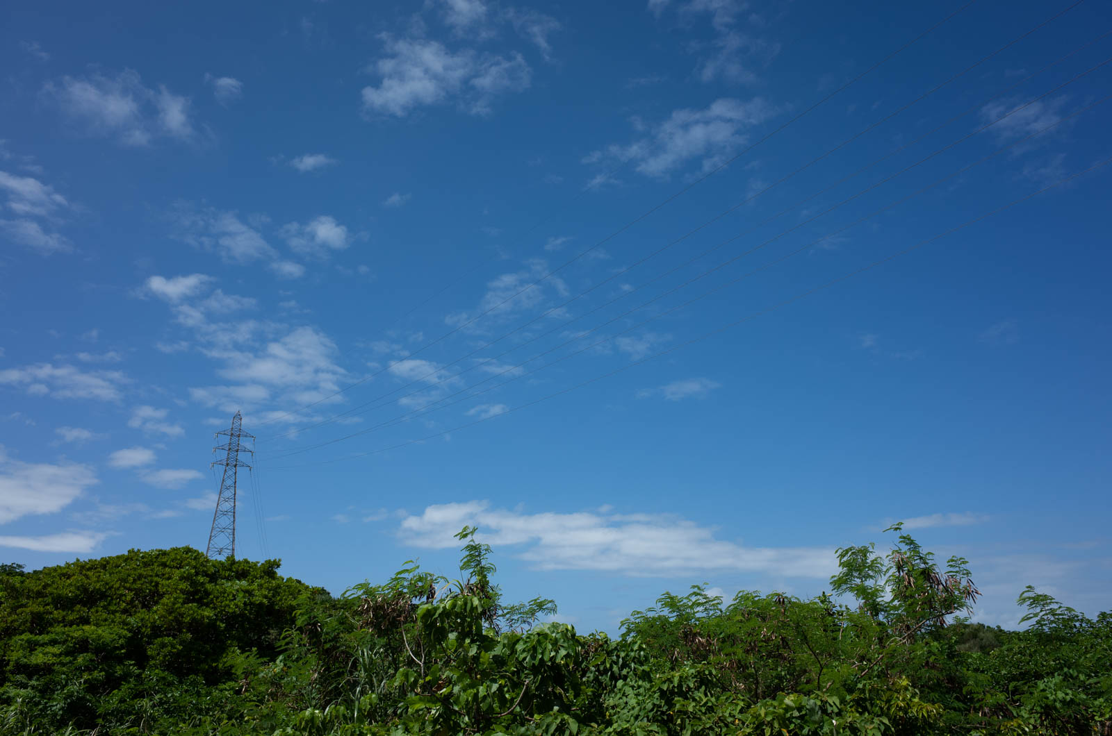 f:id:SQB:20201004191958j:plain